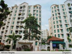 Hillview Heights (D23), Condominium #599107701